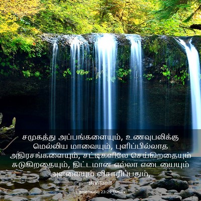 Picture 03 - 1 நாளாகமம் 23:29 TAMIRV - சமுகத்து - Bible Verse Picture