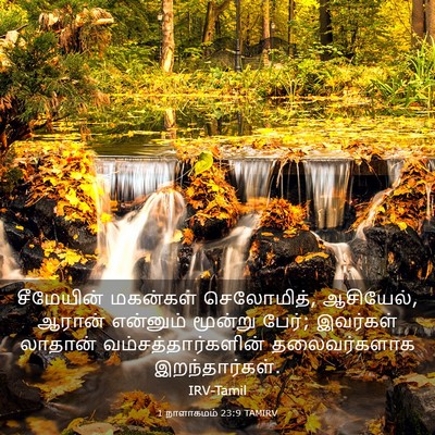 Picture 03 - 1 நாளாகமம் 23:9 TAMIRV - சீமேயின் மகன்கள் - Bible Verse Picture