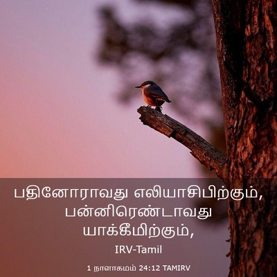 Picture 03 - 1 நாளாகமம் 24:12 TAMIRV - பதினோராவது - Bible Verse Picture