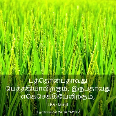 Picture 03 - 1 நாளாகமம் 24:16 TAMIRV - பத்தொன்பதாவது - Bible Verse Picture