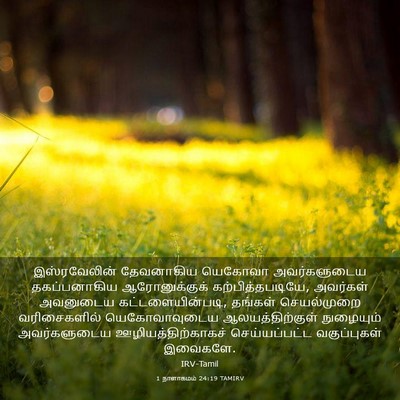 Picture 03 - 1 நாளாகமம் 24:19 TAMIRV - இஸ்ரவேலின் - Bible Verse Picture