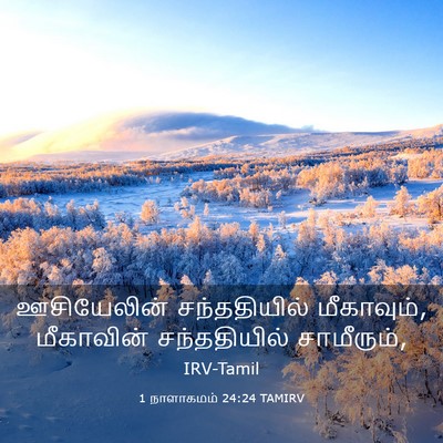 Picture 03 - 1 நாளாகமம் 24:24 TAMIRV - ஊசியேலின் - Bible Verse Picture