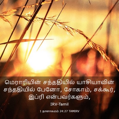 Picture 03 - 1 நாளாகமம் 24:27 TAMIRV - மெராரியின் - Bible Verse Picture