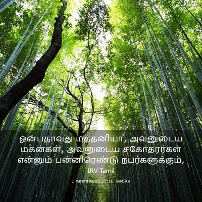 Picture 03 - 1 நாளாகமம் 25:16 TAMIRV - ஒன்பதாவது - Bible Verse Picture