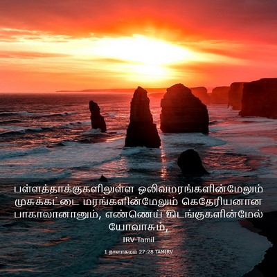 Picture 03 - 1 நாளாகமம் 27:28 TAMIRV -  - Bible Verse Picture