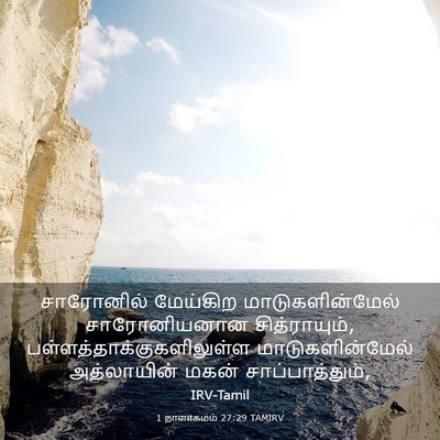 Picture 03 - 1 நாளாகமம் 27:29 TAMIRV - சாரோனில் மேய்கிற - Bible Verse Picture