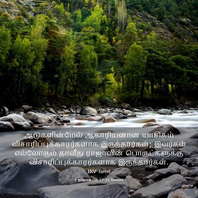 Picture 03 - 1 நாளாகமம் 27:31 TAMIRV - ஆடுகளின்மேல் - Bible Verse Picture