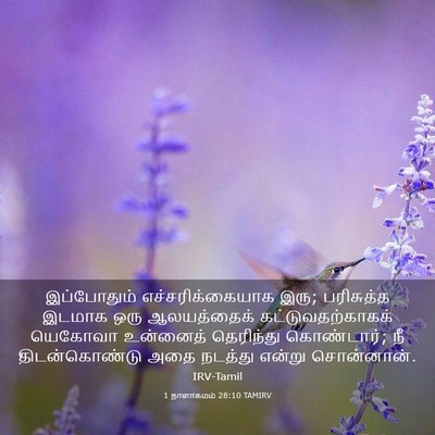 Picture 03 - 1 நாளாகமம் 28:10 TAMIRV - இப்போதும் - Bible Verse Picture