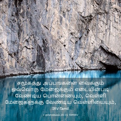 Picture 03 - 1 நாளாகமம் 28:16 TAMIRV - சமூகத்து - Bible Verse Picture