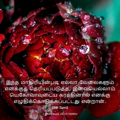 Picture 03 - 1 நாளாகமம் 28:19 TAMIRV - இந்த - Bible Verse Picture