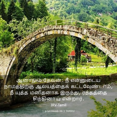 Picture 03 - 1 நாளாகமம் 28:3 TAMIRV - ஆனாலும் தேவன்: நீ - Bible Verse Picture
