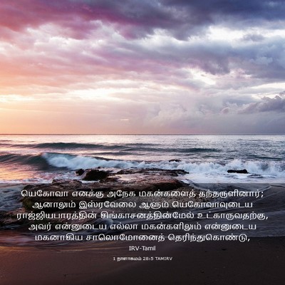 Picture 03 - 1 நாளாகமம் 28:5 TAMIRV - யெகோவா எனக்கு - Bible Verse Picture