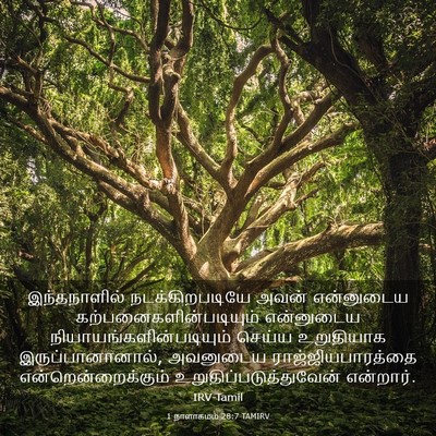 Picture 03 - 1 நாளாகமம் 28:7 TAMIRV - இந்தநாளில் - Bible Verse Picture