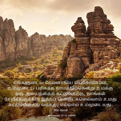 Picture 03 - 1 நாளாகமம் 29:16 TAMIRV - எங்களுடைய - Bible Verse Picture