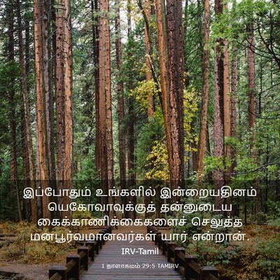 Picture 03 - 1 நாளாகமம் 29:5 TAMIRV - இப்போதும் - Bible Verse Picture