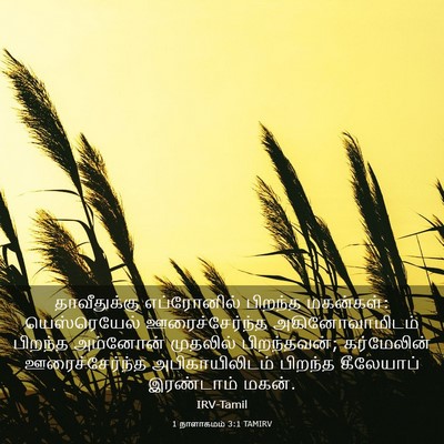 Picture 03 - 1 நாளாகமம் 3:1 TAMIRV - தாவீதுக்கு - Bible Verse Picture