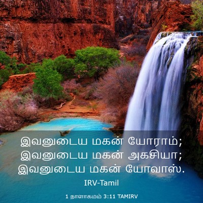 Picture 03 - 1 நாளாகமம் 3:11 TAMIRV - இவனுடைய மகன் - Bible Verse Picture