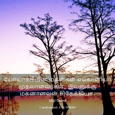 Picture 03 - 1 நாளாகமம் 3:16 TAMIRV - யோயாக்கீமின் - Bible Verse Picture