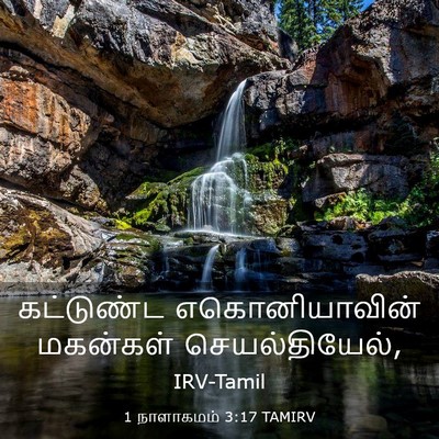 Picture 03 - 1 நாளாகமம் 3:17 TAMIRV - கட்டுண்ட - Bible Verse Picture