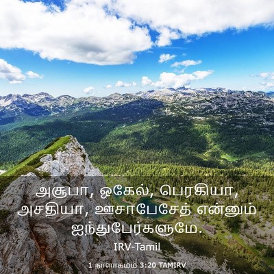 Picture 03 - 1 நாளாகமம் 3:20 TAMIRV - அசூபா, ஒகேல், - Bible Verse Picture