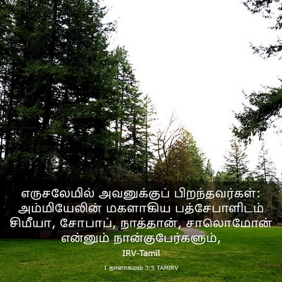 Picture 03 - 1 நாளாகமம் 3:5 TAMIRV - எருசலேமில் - Bible Verse Picture