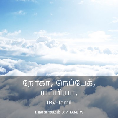 Picture 03 - 1 நாளாகமம் 3:7 TAMIRV - நோகா, நெப்பேக், - Bible Verse Picture
