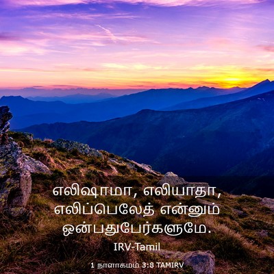 Picture 03 - 1 நாளாகமம் 3:8 TAMIRV - எலிஷாமா, எலியாதா, - Bible Verse Picture