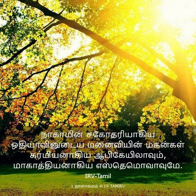 Picture 03 - 1 நாளாகமம் 4:19 TAMIRV - நாகாமின் - Bible Verse Picture