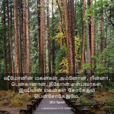 Picture 03 - 1 நாளாகமம் 4:20 TAMIRV - ஷீமோனின் மகன்கள் - Bible Verse Picture