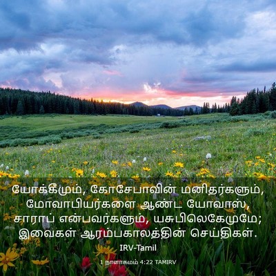 Picture 03 - 1 நாளாகமம் 4:22 TAMIRV - யோக்கீமும், - Bible Verse Picture