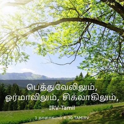Picture 03 - 1 நாளாகமம் 4:30 TAMIRV - பெத்துவேலிலும், - Bible Verse Picture