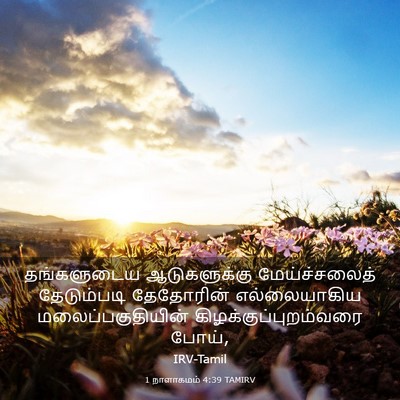 Picture 03 - 1 நாளாகமம் 4:39 TAMIRV - தங்களுடைய - Bible Verse Picture