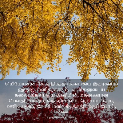 Picture 03 - 1 நாளாகமம் 4:42 TAMIRV - சிமியோனின் - Bible Verse Picture