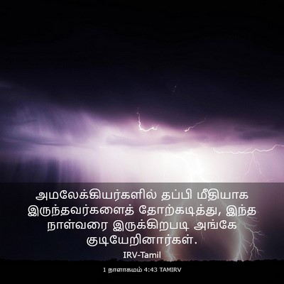 Picture 03 - 1 நாளாகமம் 4:43 TAMIRV - அமலேக்கியர்களில் - Bible Verse Picture