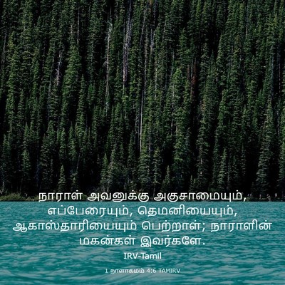 Picture 03 - 1 நாளாகமம் 4:6 TAMIRV - நாராள் அவனுக்கு - Bible Verse Picture