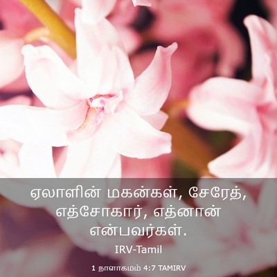Picture 03 - 1 நாளாகமம் 4:7 TAMIRV - ஏலாளின் மகன்கள், - Bible Verse Picture