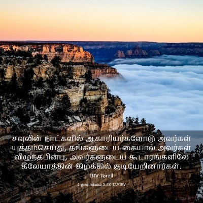 Picture 03 - 1 நாளாகமம் 5:10 TAMIRV - சவுலின் நாட்களில் - Bible Verse Picture