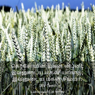 Picture 03 - 1 நாளாகமம் 6:20 TAMIRV - கெர்சோமின் மகன் - Bible Verse Picture
