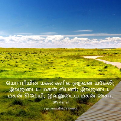 Picture 03 - 1 நாளாகமம் 6:29 TAMIRV - மெராரியின் - Bible Verse Picture