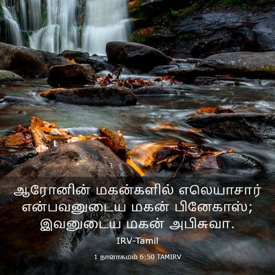 Picture 03 - 1 நாளாகமம் 6:50 TAMIRV - ஆரோனின் மகன்களில் - Bible Verse Picture