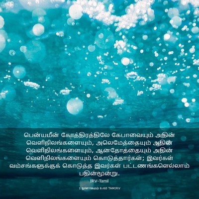 Picture 03 - 1 நாளாகமம் 6:60 TAMIRV - பென்யமீன் - Bible Verse Picture