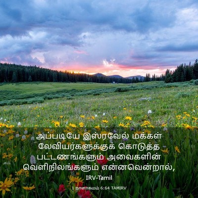 Picture 03 - 1 நாளாகமம் 6:64 TAMIRV - அப்படியே இஸ்ரவேல் - Bible Verse Picture