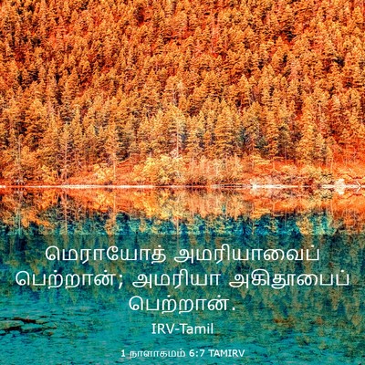 Picture 03 - 1 நாளாகமம் 6:7 TAMIRV - மெராயோத் - Bible Verse Picture