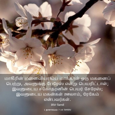Picture 03 - 1 நாளாகமம் 7:16 TAMIRV - மாகீரின் - Bible Verse Picture