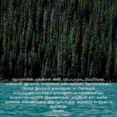 Picture 03 - 1 நாளாகமம் 7:2 TAMIRV - தோலாவின் மகன்கள் - Bible Verse Picture