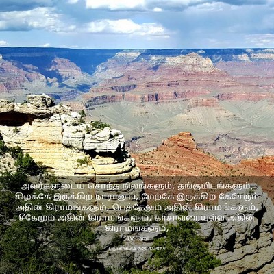 Picture 03 - 1 நாளாகமம் 7:28 TAMIRV - அவர்களுடைய சொந்த - Bible Verse Picture