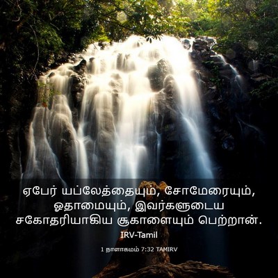 Picture 03 - 1 நாளாகமம் 7:32 TAMIRV - ஏபேர் - Bible Verse Picture