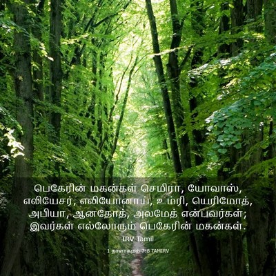 Picture 03 - 1 நாளாகமம் 7:8 TAMIRV - பெகேரின் மகன்கள் - Bible Verse Picture