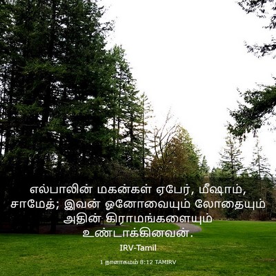 Picture 03 - 1 நாளாகமம் 8:12 TAMIRV - எல்பாலின் மகன்கள் - Bible Verse Picture
