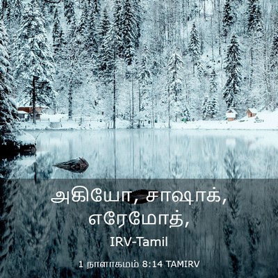 Picture 03 - 1 நாளாகமம் 8:14 TAMIRV - அகியோ, சாஷாக், - Bible Verse Picture